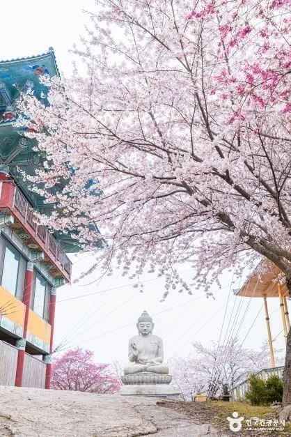 충남_태안_안면암_5.jpg