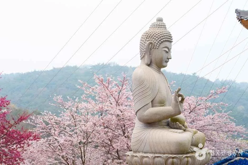 충남_태안_안면암_7.jpg