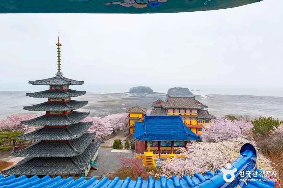 충남_태안_안면암_1.jpg