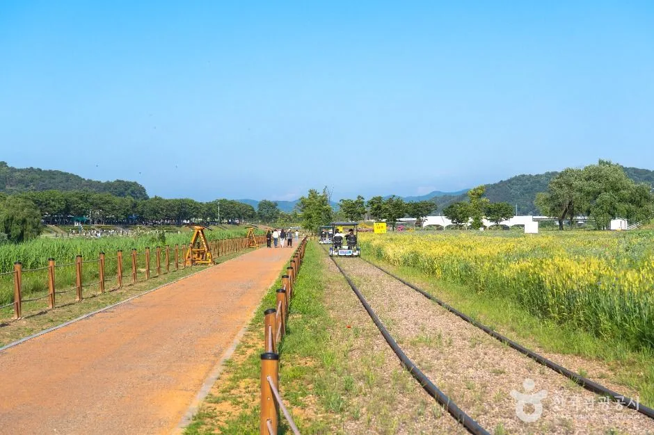 평택_진위천유원지 (4)