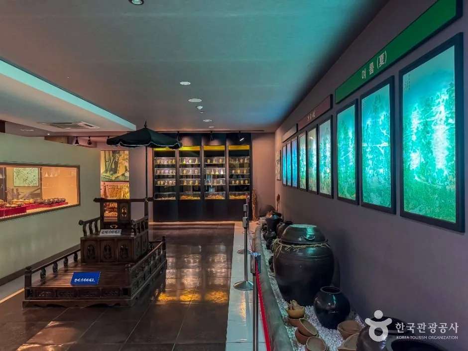 대구_월곡역사박물관 (3)