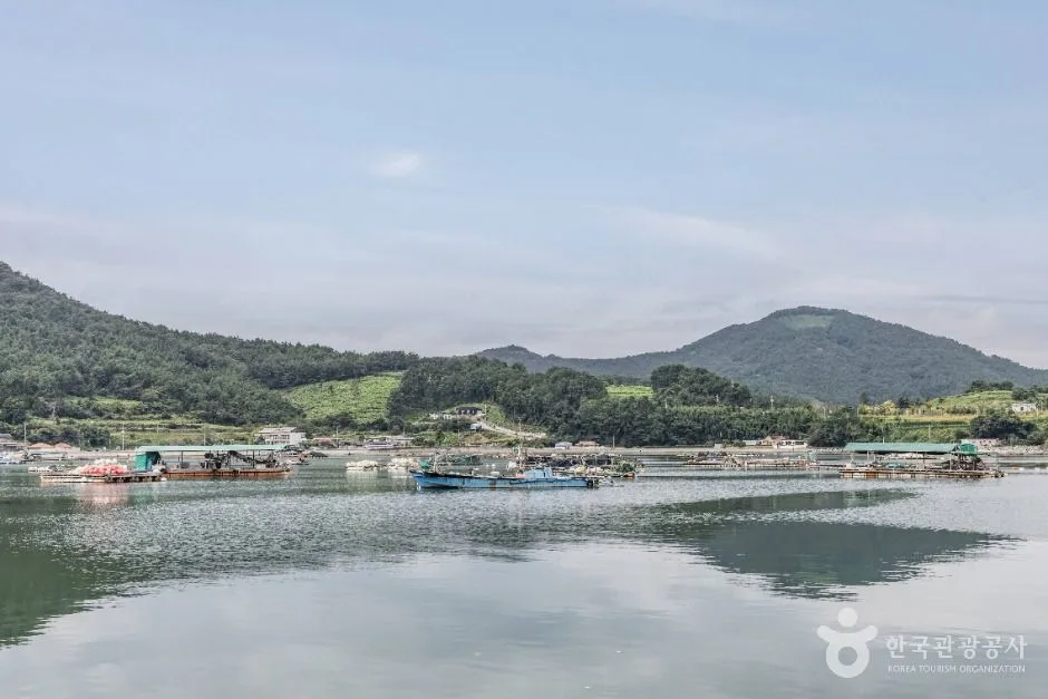 남해_장포항 (3)