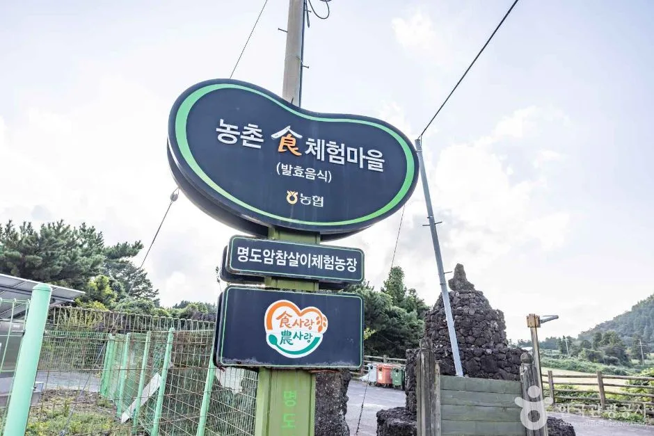 제주_제주_제주 명도암참살이마을 (10)