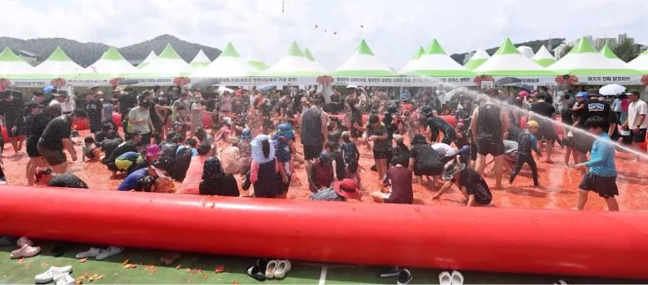 2026 둔내고랭지토마토축제 (6).jpg