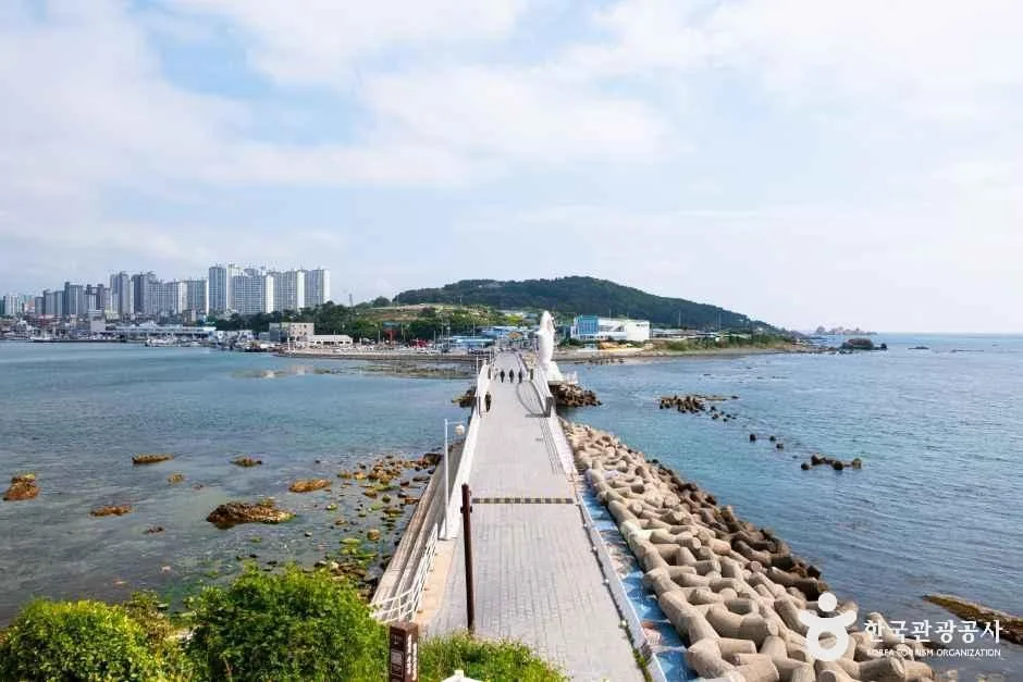 슬도해안둘레길 (11)