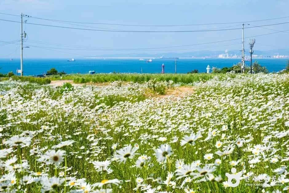 슬도해안둘레길 (14)