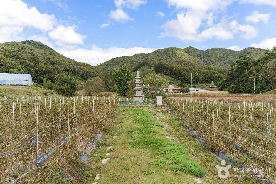 괴산_괴산 삼방리 삼층석탑 (6)