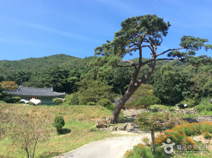 충남_청양_정혜사02