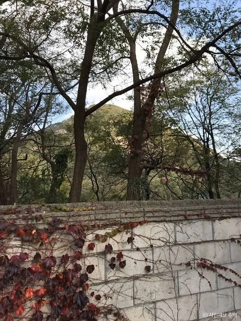 서울_부암동 (5)
