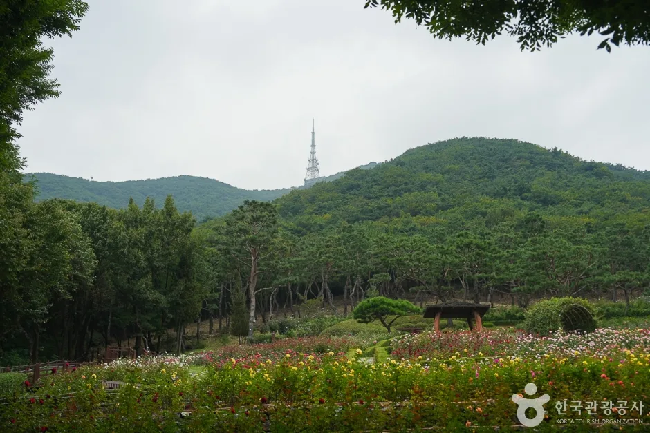 A04304_인천_계양_계양산(4)