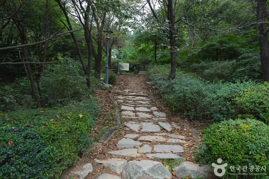 A04304_인천_계양_계양산(15)