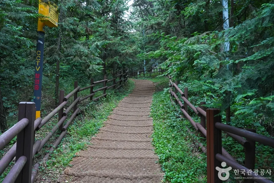 A04304_인천_계양_계양산(1)