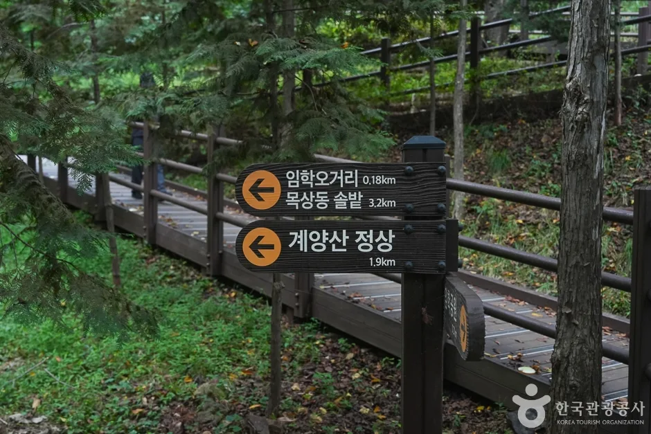 A04304_인천_계양_계양산(14)