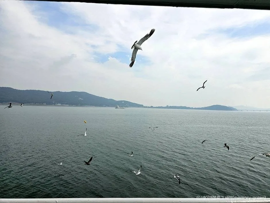 인천_신도선착장 (4)