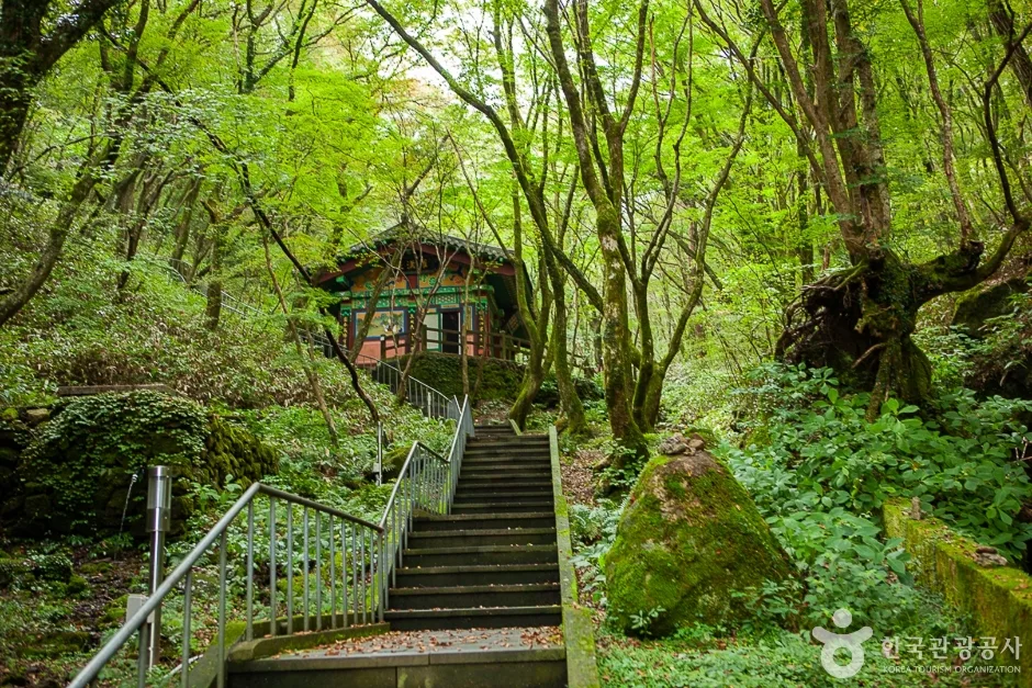 천왕사(제주) (16)
