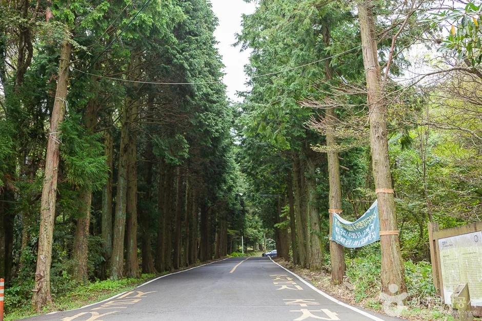 천왕사(제주) (8)