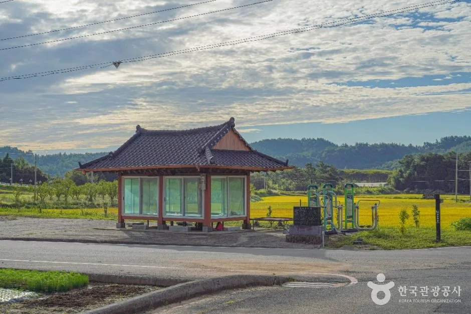 보성_삼수마을 (4)
