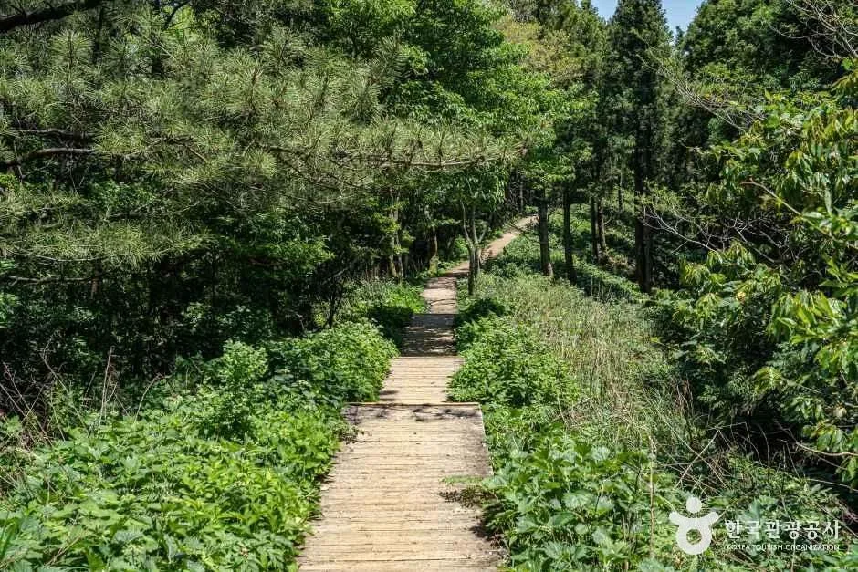 제주_거문오름 (6).jpg