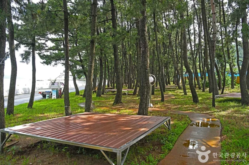 용동해수욕장 (5)