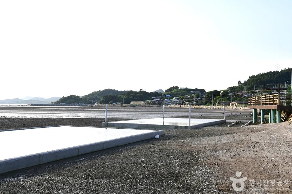 전남_여수_여수 갯벌 노을마을 (24)