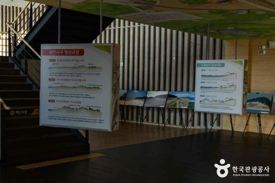 충남_태안_신두리사구센터_내부_2.jpg