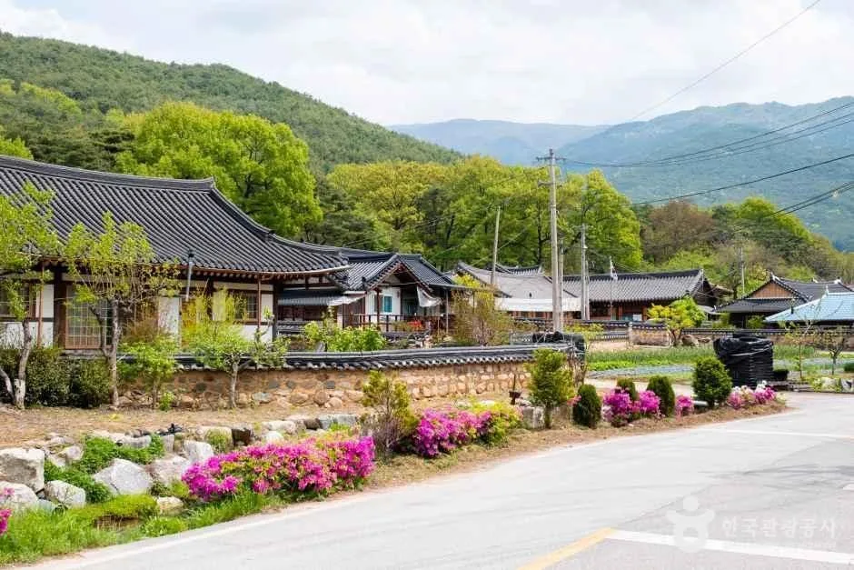 전남_구례_오미은하수마을 (18)