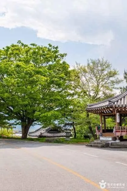 전남_구례_오미은하수마을 (4)