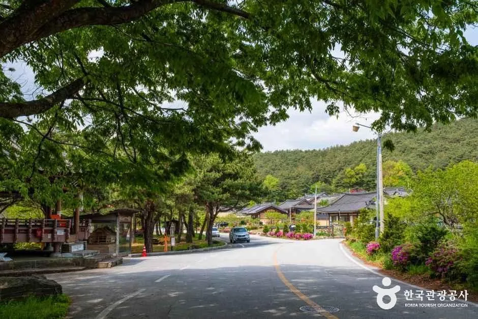 전남_구례_오미은하수마을 (20)