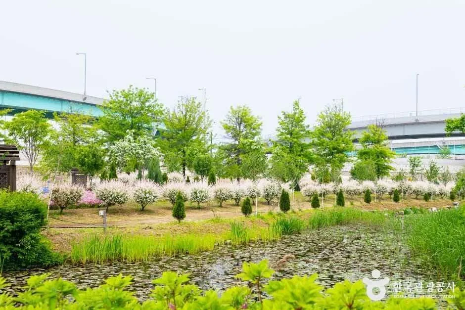 경기_구리_구리한강시민공원(코스모스공원)_외부_2.jpg