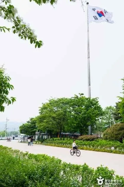 구리_구리한강시민공원(코스모스공원) (6)
