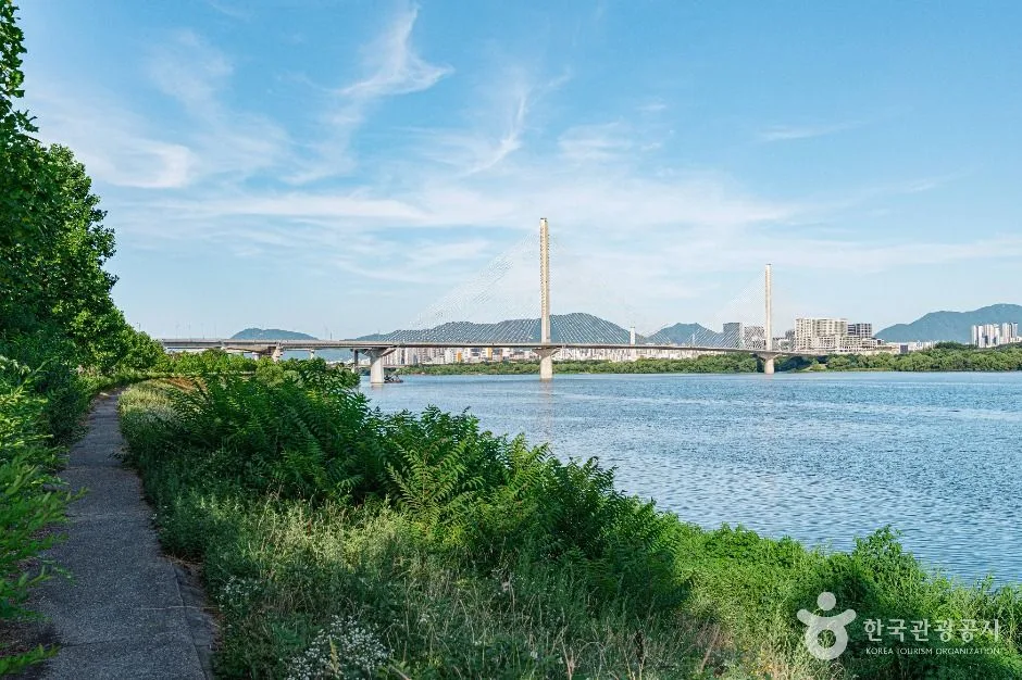 구리_구리한강시민공원(코스모스공원) (3)