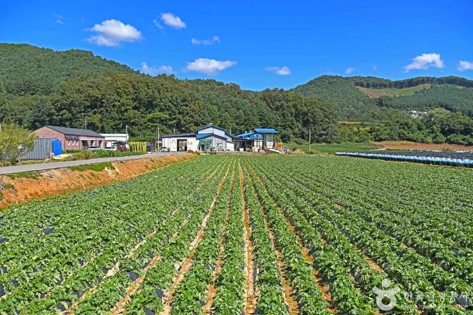 강원_춘천_춘천 솔바우마을_ (4)