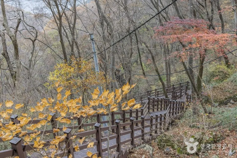 담양_추월산 (6)