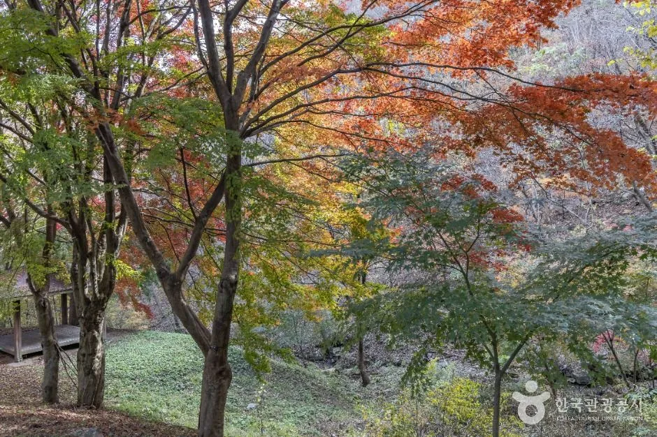 담양_추월산 (4)