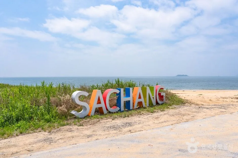 보령_사창해수욕장 (1)