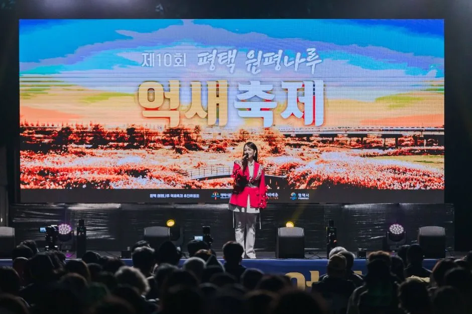 2026 평택 원평나루 억새축제 (3).jpg