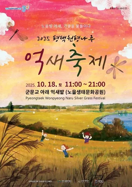 2026 평택 원평나루 억새축제 (2).jpg