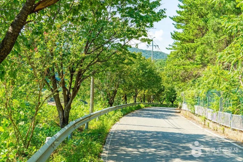 공주_기산저수지 (4)