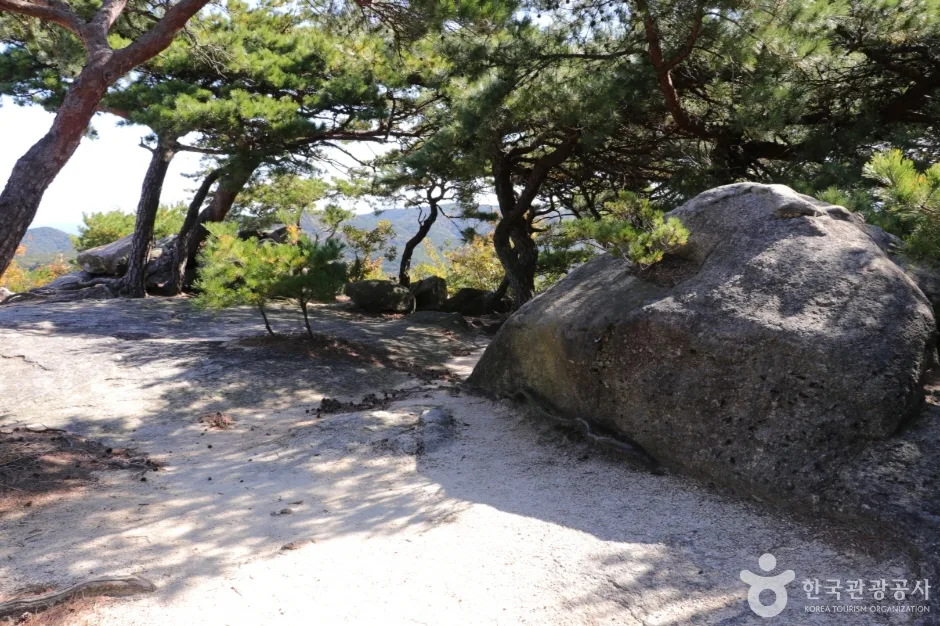 동축사 (11)