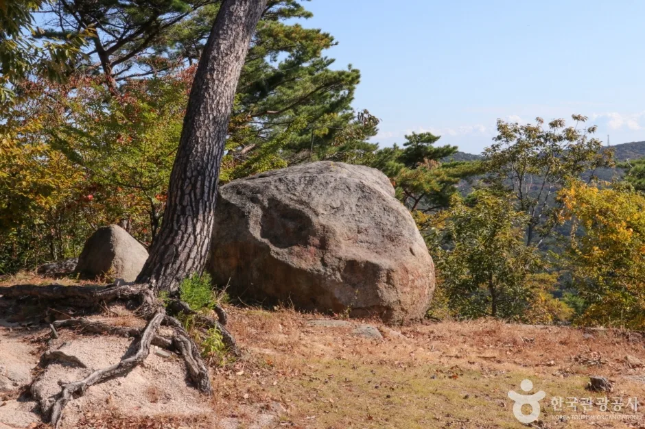 동축사 (2)