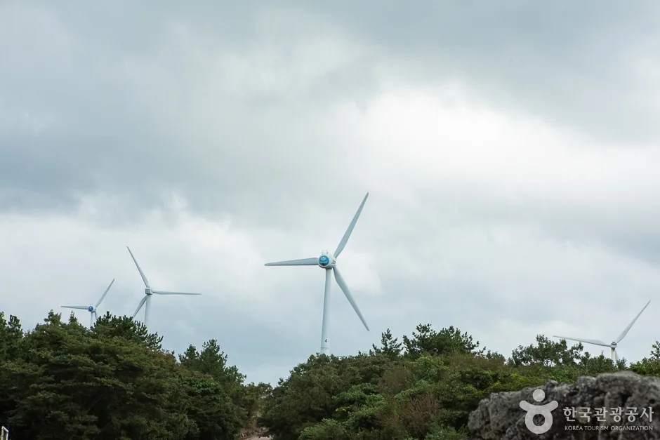 가시리 풍력발전단지(16)