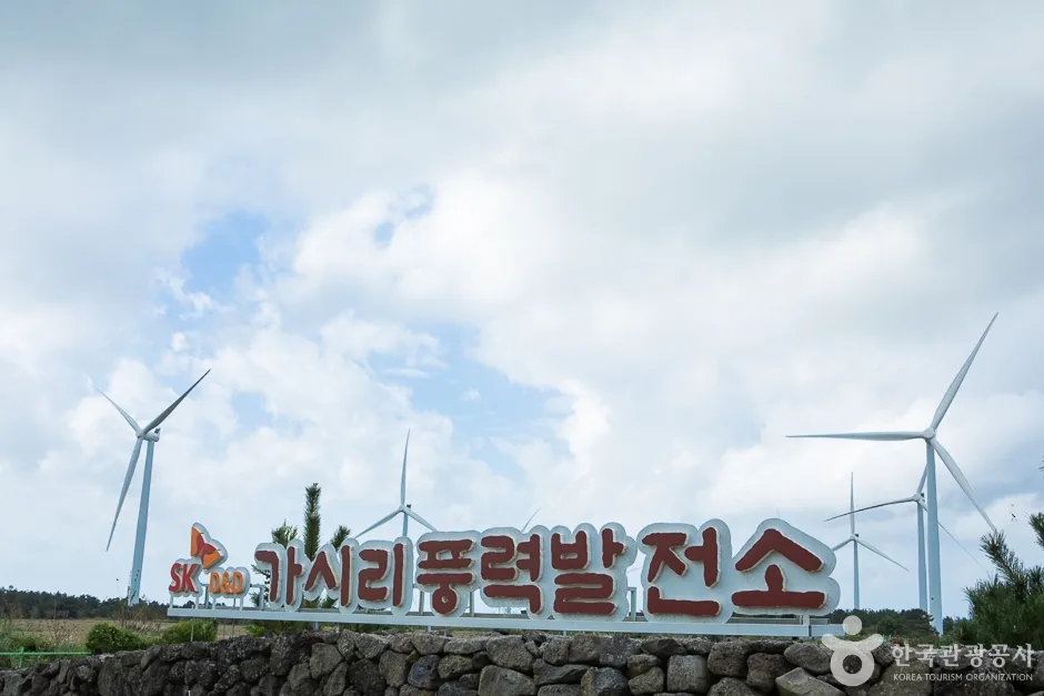 가시리 풍력발전단지(4)
