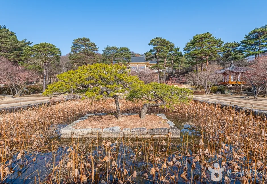 용인 호암미술관 입장료, 희원 카페 실내 데이트 추천_호암미술관_13
