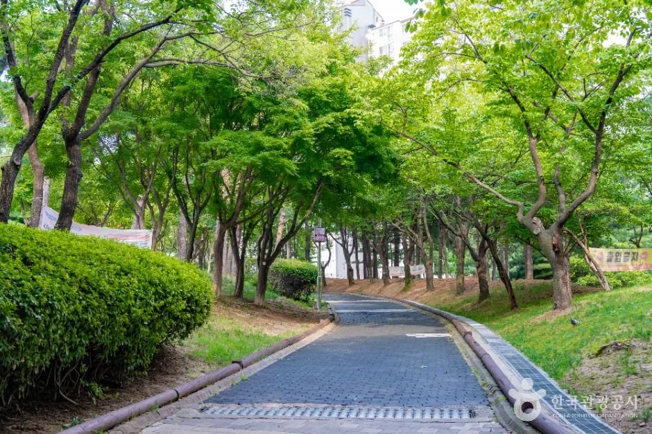 시흥_비둘기공원 (4)