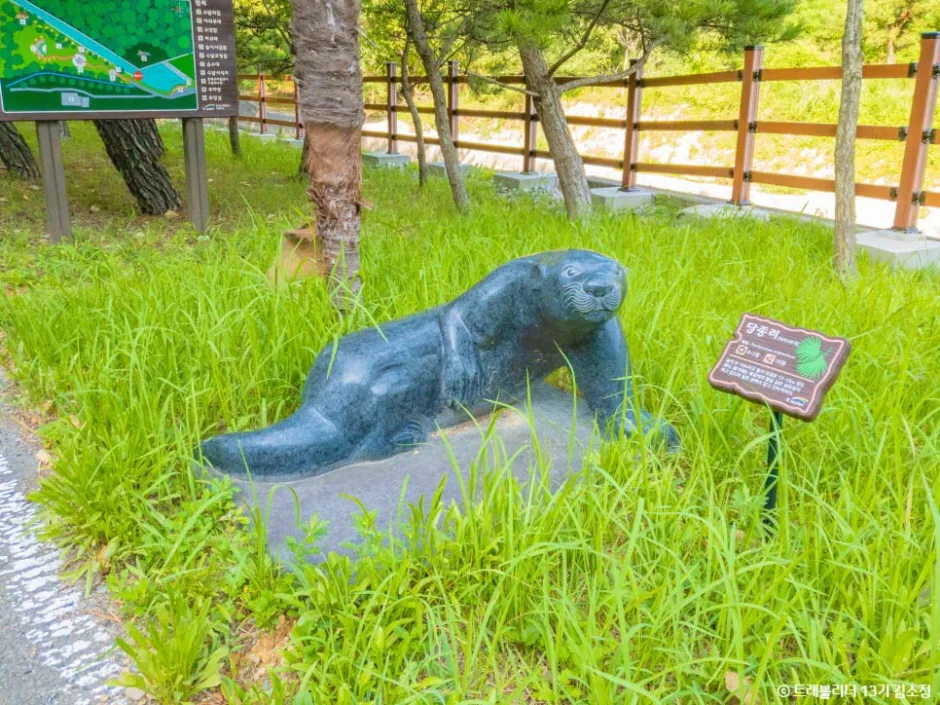 경남_거제_수달생태공원_풍경4