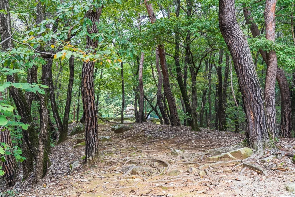 청룡사(충주) (6)