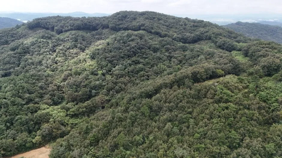 부여_부여 청마산성 (1)