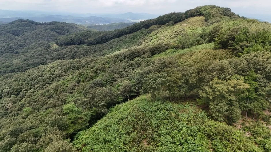 부여 청마산성