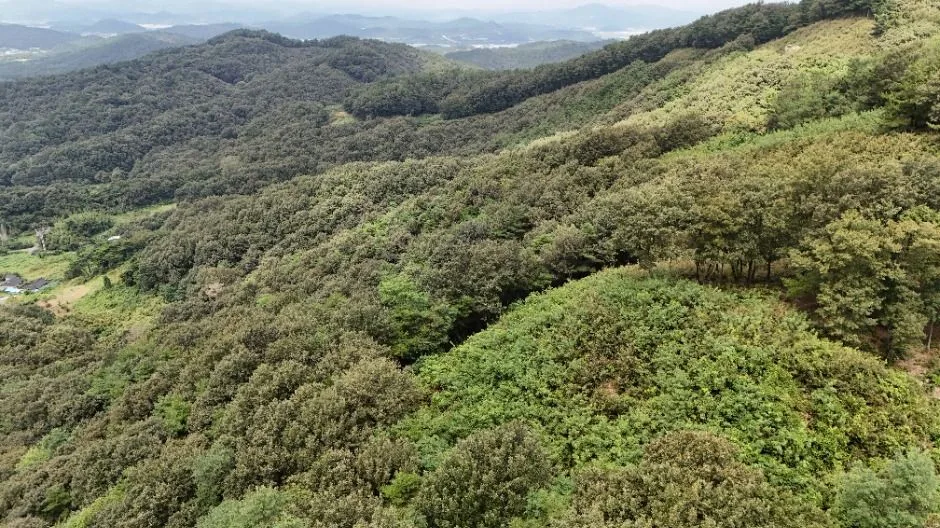 부여_부여 청마산성 (3)