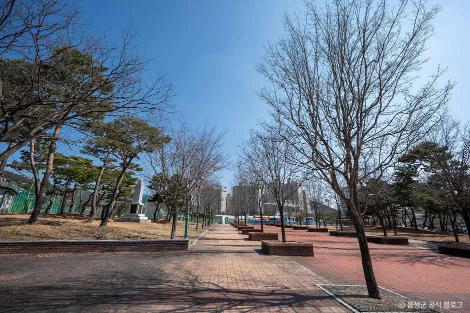 음성_금왕생활체육공원 (4).jpg